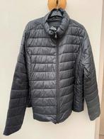 Zwarte gewatteerde tussen jas XL, Ophalen of Verzenden, Zo goed als nieuw, Maat 46/48 (XL) of groter, Zwart