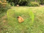 Kleine buitenren, Dieren en Toebehoren, Knaagdieren en Konijnen | Hokken en Kooien, Minder dan 60 cm, Gebruikt, Minder dan 75 cm