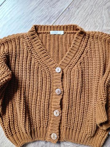 Yuki Kidswear Vest - Maat 3-4 Jaar - Roestbruin beschikbaar voor biedingen