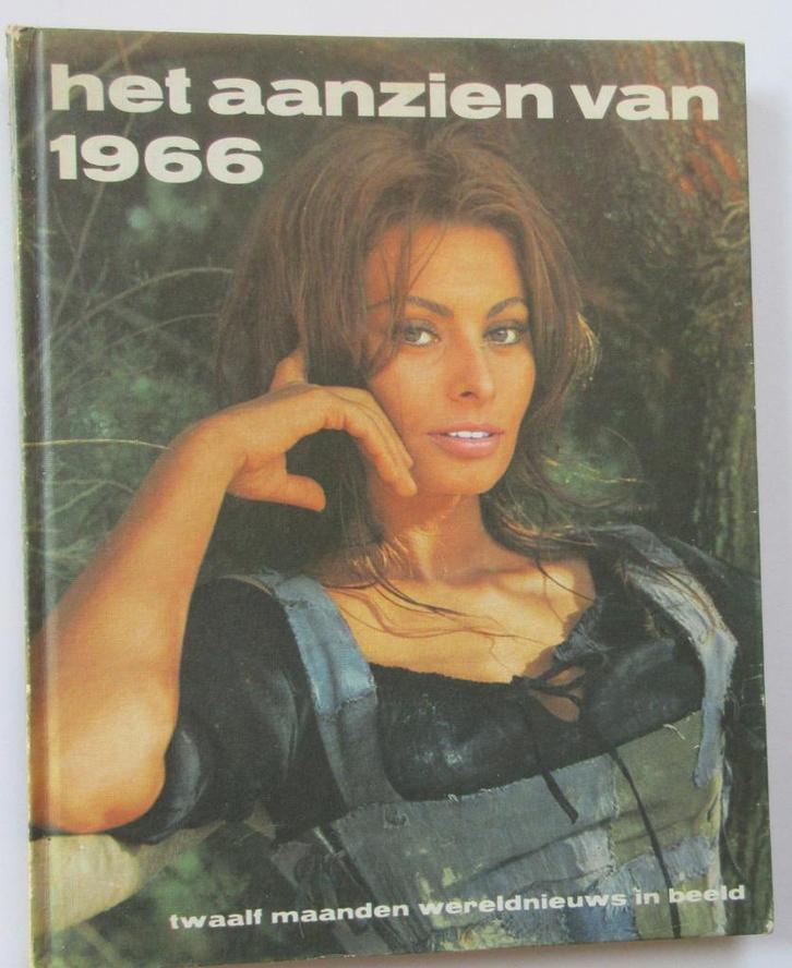 Het aanzien van 1966, Boeken, Geschiedenis | Wereld, Gelezen, Overige gebieden, 20e eeuw of later, Ophalen of Verzenden