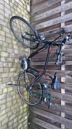 Pegasus ravena elektrische fiets ebike, Ophalen of Verzenden, Zo goed als nieuw, 20 inch of meer