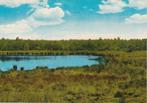 GASSELTE Meertje Landschap, Verzamelen, Ansichtkaarten | Nederland, Verzenden, 1960 tot 1980, Ongelopen, Drenthe