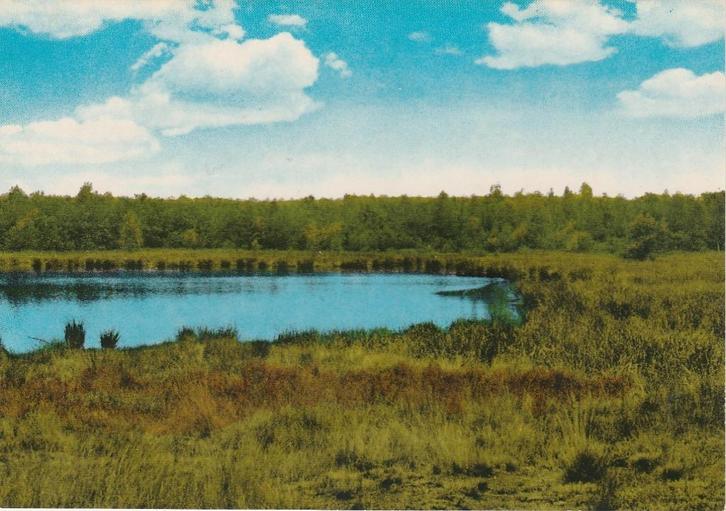 GASSELTE Meertje Landschap, Verzamelen, Ansichtkaarten | Nederland, Ongelopen, Drenthe, 1960 tot 1980, Verzenden