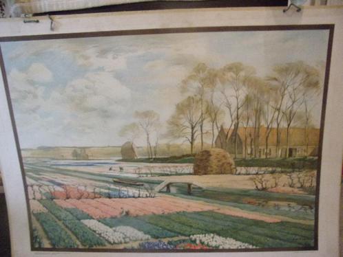 De Bloembollenvelden te Lisse naar A.L. Koster Schoolplaat, Antiek en Kunst, Antiek | Schoolplaten, Stad- en Dorpsgezichten, Ophalen of Verzenden