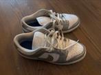 Nike schoenen zilver maat 42 izgs, Ophalen of Verzenden, Zo goed als nieuw, Overige kleuren, Sneakers of Gympen