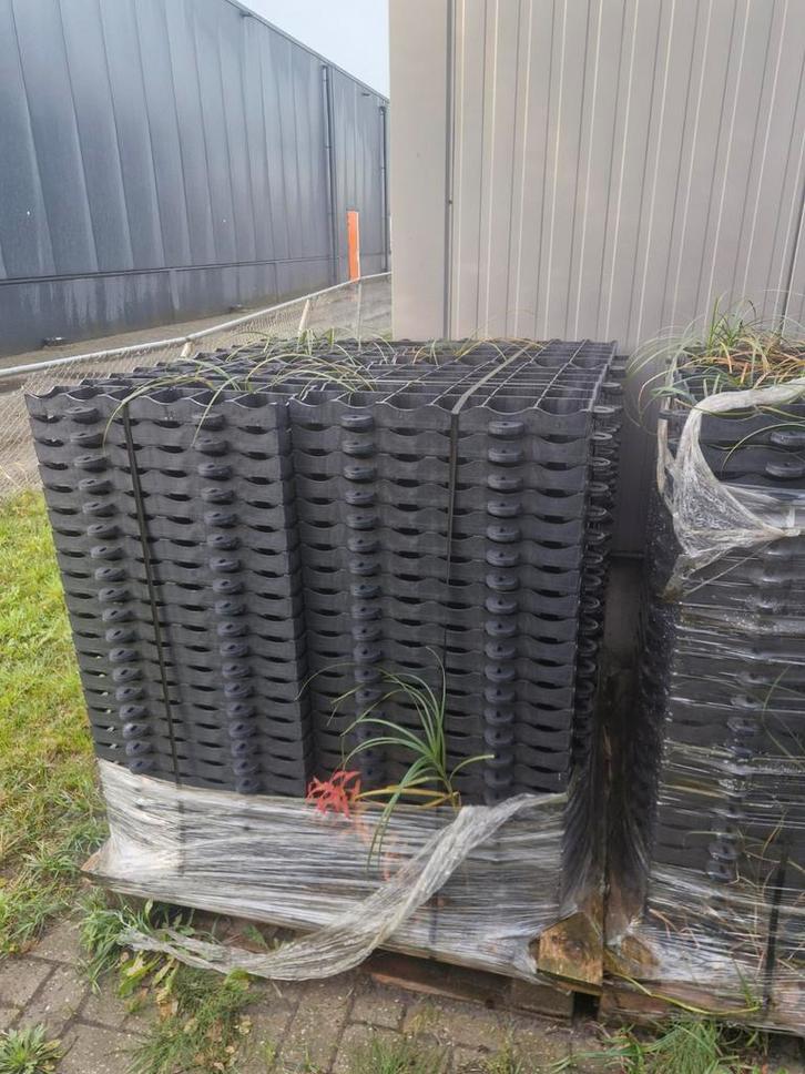 Erosie Werend Rooster Groendak hellend dak, Tuin en Terras, Planten | Tuinplanten, Overige soorten, Volle zon, Ophalen of Verzenden