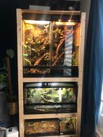 Terrarium kast met verschillende reptielen, Dieren en Toebehoren, Reptielen en Amfibieën | Toebehoren, Ophalen, Zo goed als nieuw