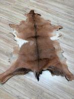 Unieke dierenhuid - decoratief kleed, Gebruikt, 50 tot 100 cm, Bruin, Overige vormen