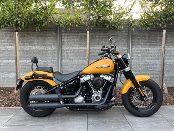 HARLEY-DAVIDSON SOFTAIL SLIM FLSL / 5HD / KESSTECH UITLAAT / beschikbaar voor biedingen