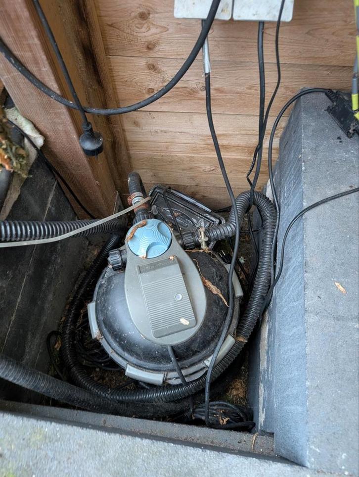 Complete vijver met vissen en filterpomp, Tuin en Terras, Vijvers, Gebruikt, Ophalen