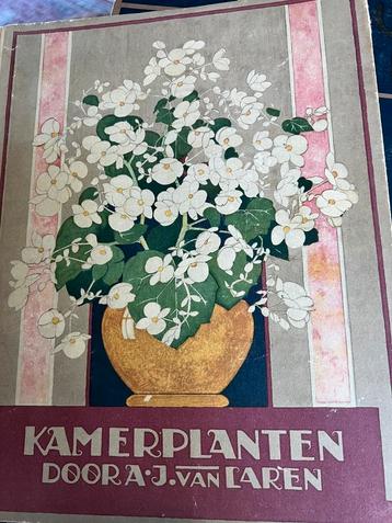 Verkade Album kamerplanten en Cactussen beschikbaar voor biedingen