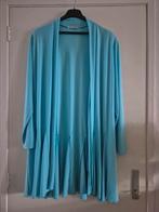 Magna vest nieuw 48/50, Kleding | Dames, Grote Maten, Ophalen of Verzenden, Nieuw, Blauw, Trui of Vest