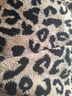 Teddy stof print, 120 cm of meer, Nieuw, Ophalen of Verzenden, Katoen