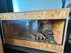 Terrarium incl. toebehoren, Dieren en Toebehoren, Ophalen, Zo goed als nieuw, Terrarium of Paludarium