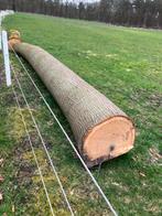 Eiken stamhout, Tuin en Terras, Haardhout, Minder dan 3 m³, Ophalen, Eikenhout