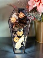 Opgezette vlinder,  schedel, taxidermie,  glazen kistje, Ophalen of Verzenden, Nieuw, Insect, Opgezet dier