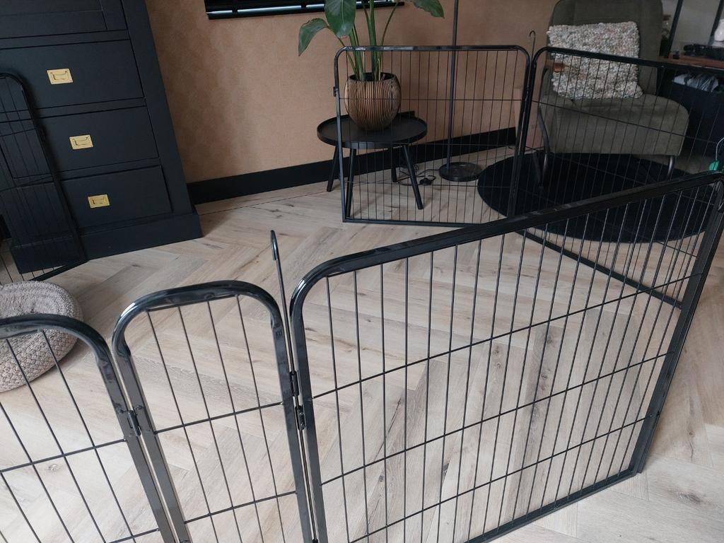 Puppyren nieuw!, Ophalen, Nieuw