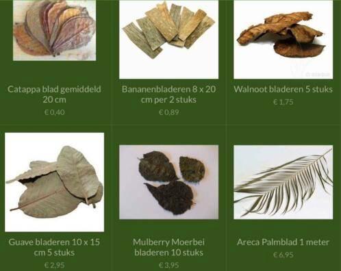 Aquarium natuurproducten, Dieren en Toebehoren, Vissen | Aquaria en Toebehoren, Nieuw, Sierelement, Ophalen of Verzenden