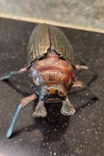 Antieke Lehmann Kefer 431 Blikken Kever uit 1895, Antiek en Kunst, Ophalen of Verzenden