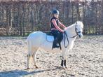 Lieve beginnerspony te koop, Dieren en Toebehoren, Pony's, Merrie