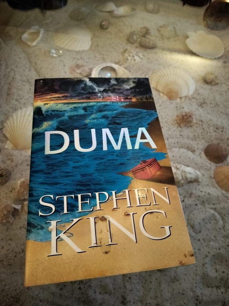 Stephen King - Duma, Boeken, Thrillers, Gelezen, Ophalen of Verzenden