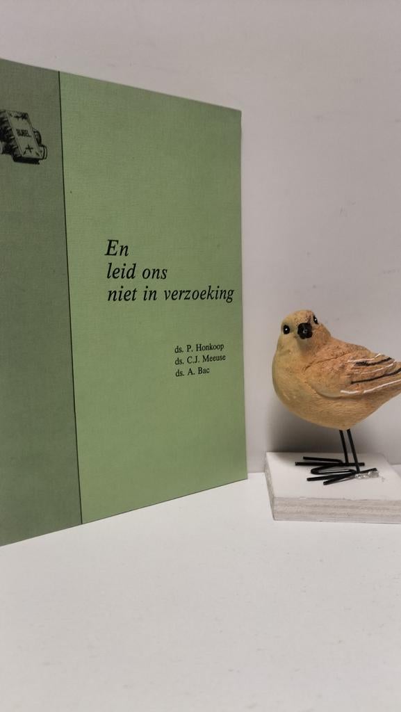 Honkoop, Ds. P. e.a.; En leid ons niet in verzoeking, Boeken, Ophalen of Verzenden, Gelezen, Christendom | Protestants
