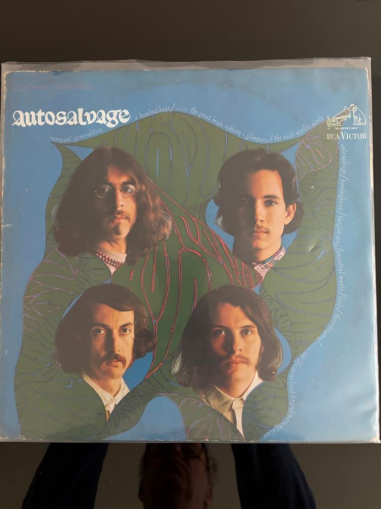 Autosalvage VG+/+ hoes VG, Gebruikt, Alternative, Ophalen of Verzenden, 12 inch