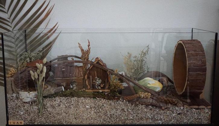 Terrarium 80x40x40 zonder schuifruiten, Dieren en Toebehoren, Knaagdieren en Konijnen | Hokken en Kooien, Nieuw, Hok, Minder dan 60 cm