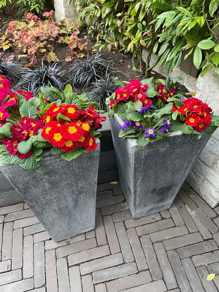 Hoge donkergrijze buitenpotten voor tuin of balkon, Tuin en Terras, Bloembakken en Plantenbakken, Gebruikt, Balkon, Minder dan 60 cm