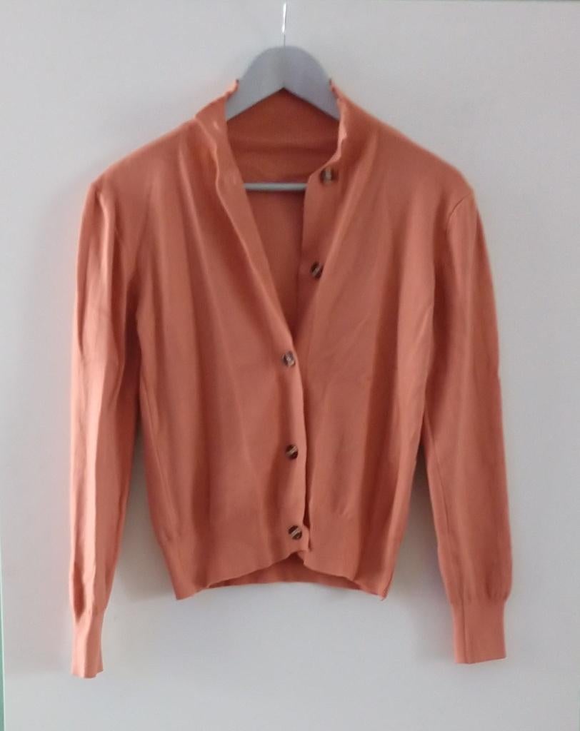 vestje bruin maat S, volgnr 3, Ophalen of Verzenden, Zo goed als nieuw, Maat 36 (S), Bruin