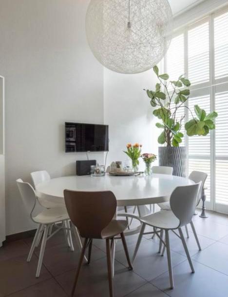 HELA Eethoek ALINA G bestaande uit een tafel en 4 stoelen (set, 5-delig) koop je bij