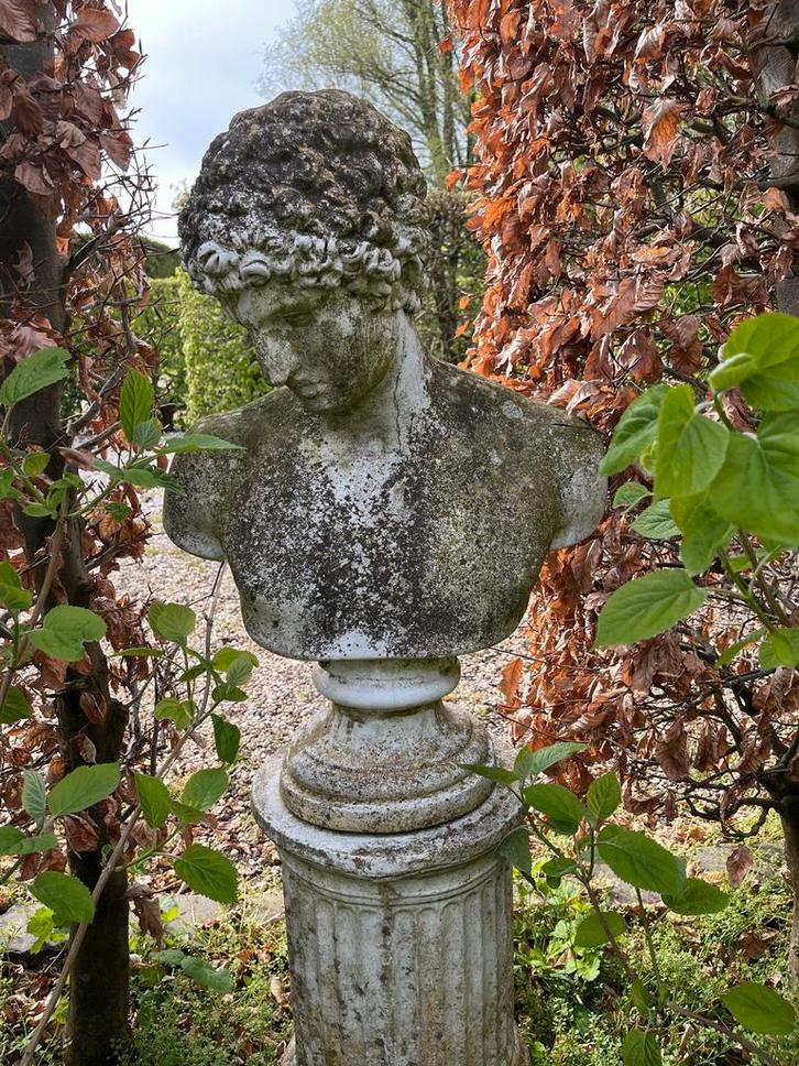 Buste tuinbeeld op sokkel, Tuin en Terras, Tuinbeelden, Gebruikt, Mensenbeeld, Beton, Ophalen of Verzenden
