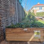 Houten bloembak met Hedera planten 100x50 cm, Tuin en Terras, Ophalen, Gebruikt