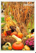 Ansichtkaart	Indiana, USA	Herfst decoratie, Verzamelen, Verzenden, 1980 tot heden, Gelopen, Buiten Europa