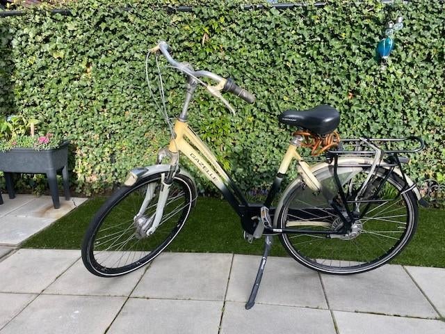 Gazelle Chamonix dames fiets 53 cm 8speed, Ophalen, Versnellingen, Gazelle, 53 tot 56 cm