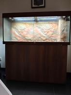 Mooie Juwel Rio 240, Ophalen of Verzenden, Zo goed als nieuw, Leeg aquarium