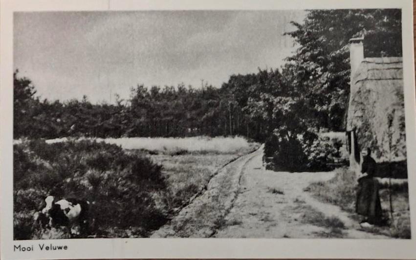 Boerenleven op de Veluwe- 1957, Verzenden, 1940 tot 1960, Gelopen, Gelderland