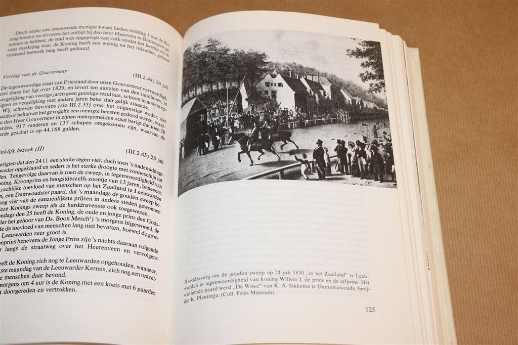 Kroniek Friese Boer [1821-1856] — Doeke Hellema, Boeken, Ophalen of Verzenden, Gelezen