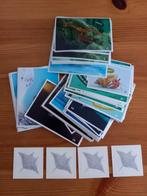 Oceaan plaatjes., Albert Heijn, Ophalen of Verzenden