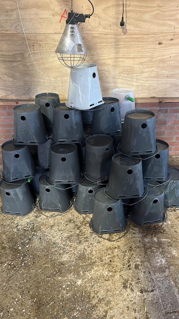 Speenemmers en voederbakken kalveren, Ophalen