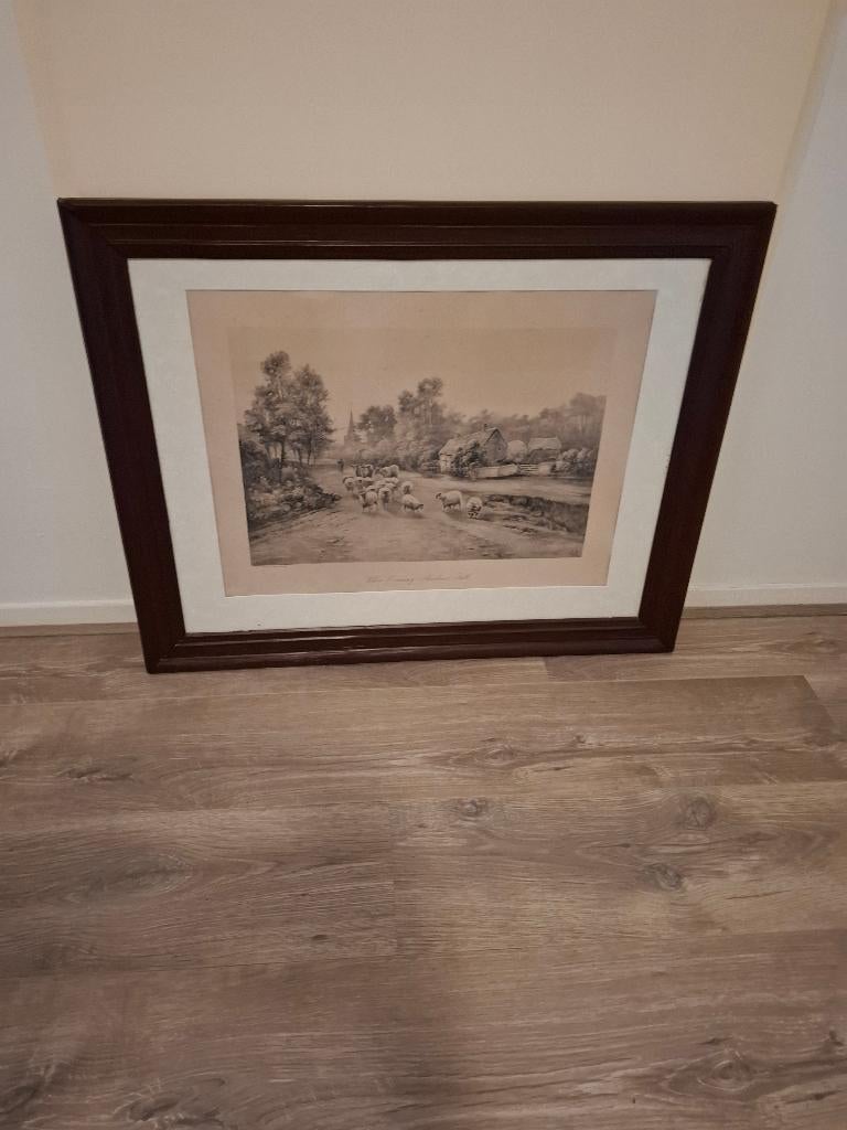 Schilderij, Huis en Inrichting, Ophalen, 50 tot 75 cm, Zo goed als nieuw, Schilderij