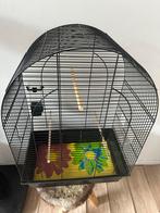Kanari en papagaai kooi, Dieren en Toebehoren, Vogels | Hokken en Kooien, Ophalen of Verzenden, Metaal, Vogelkooi