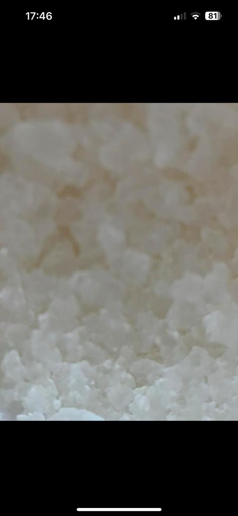 Biologische Water kefir korrels, Ophalen