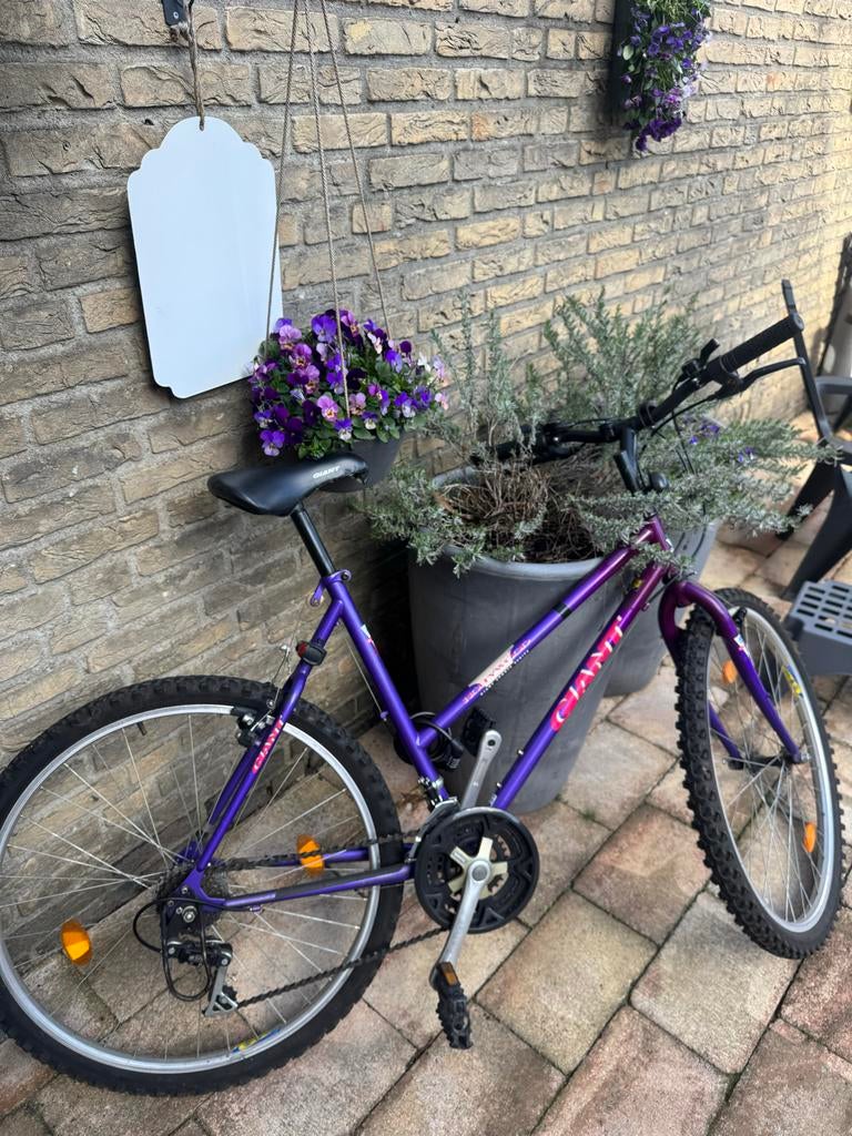 Giant mountainbike, paars, 20 inch frame, Fietsen en Brommers, Gebruikt, Heren, 49 tot 53 cm, Geen vering