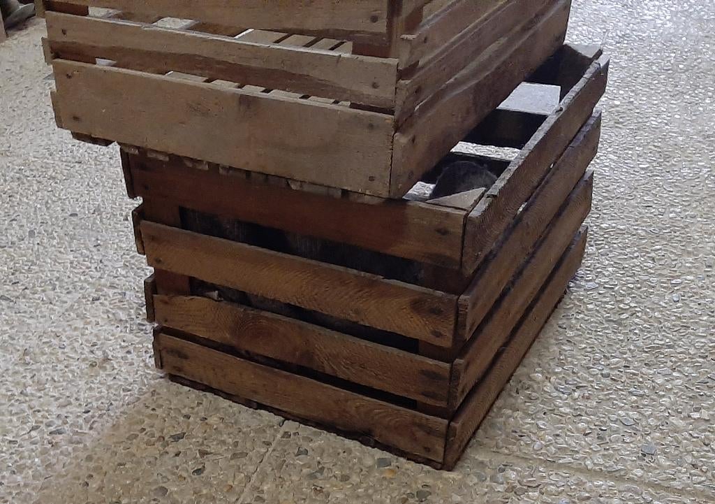 Fruitkistjes houten kratjes 50 40 30 sinaasappelkist, Ophalen, Gebruikt, Minder dan 50 cm, Minder dan 50 cm