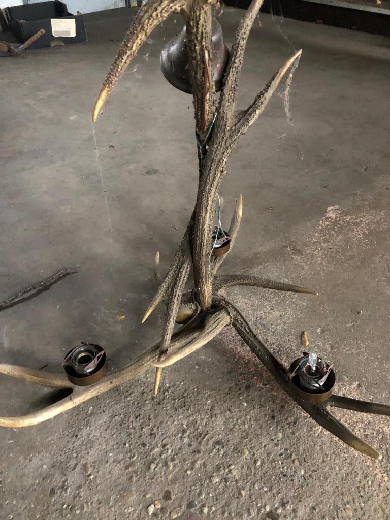 Hanglamp Geweien van edelhert, Ophalen