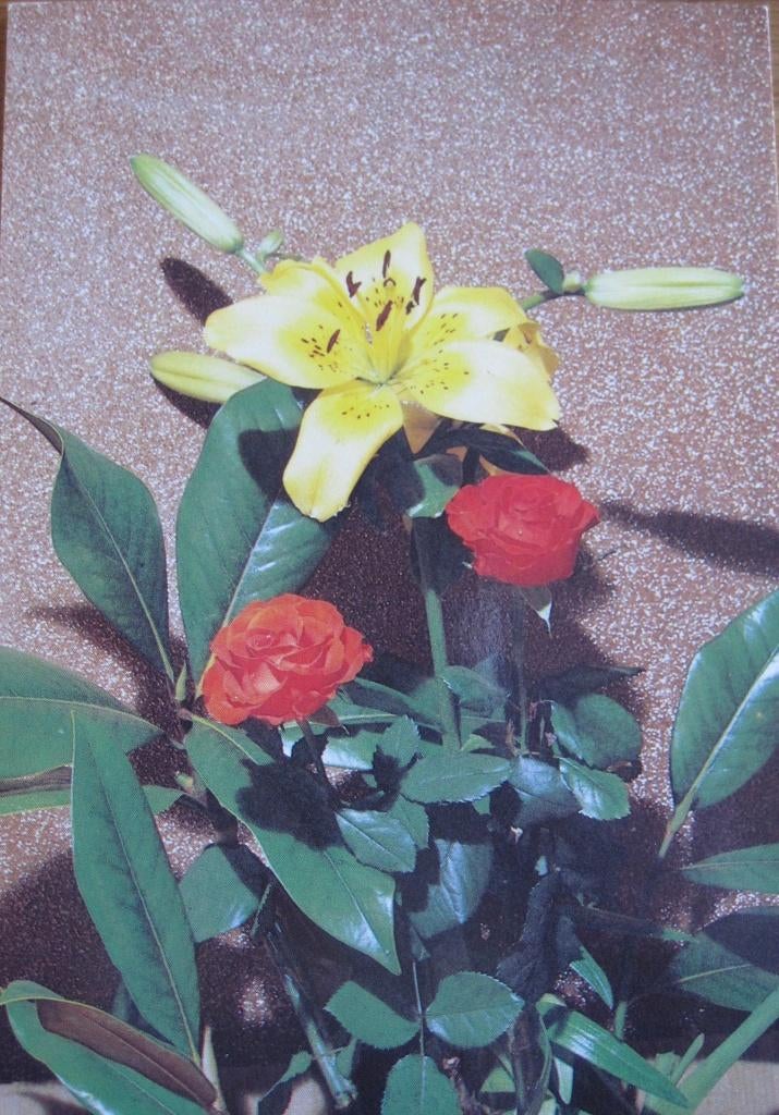 Gele lelies en rode rozen - Italiaanse kaart, Verzenden, 1980 tot heden, Gelopen, Overige thema's