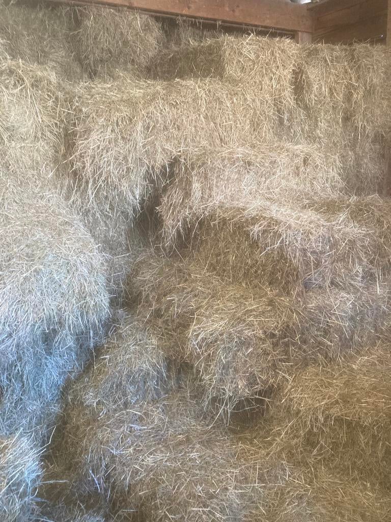 Hooi te koop, Dieren en Toebehoren, Dierenvoeding, Ophalen, Vee