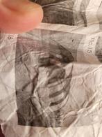 Texas 6 tunnel tent, Caravans en Kamperen, Ophalen