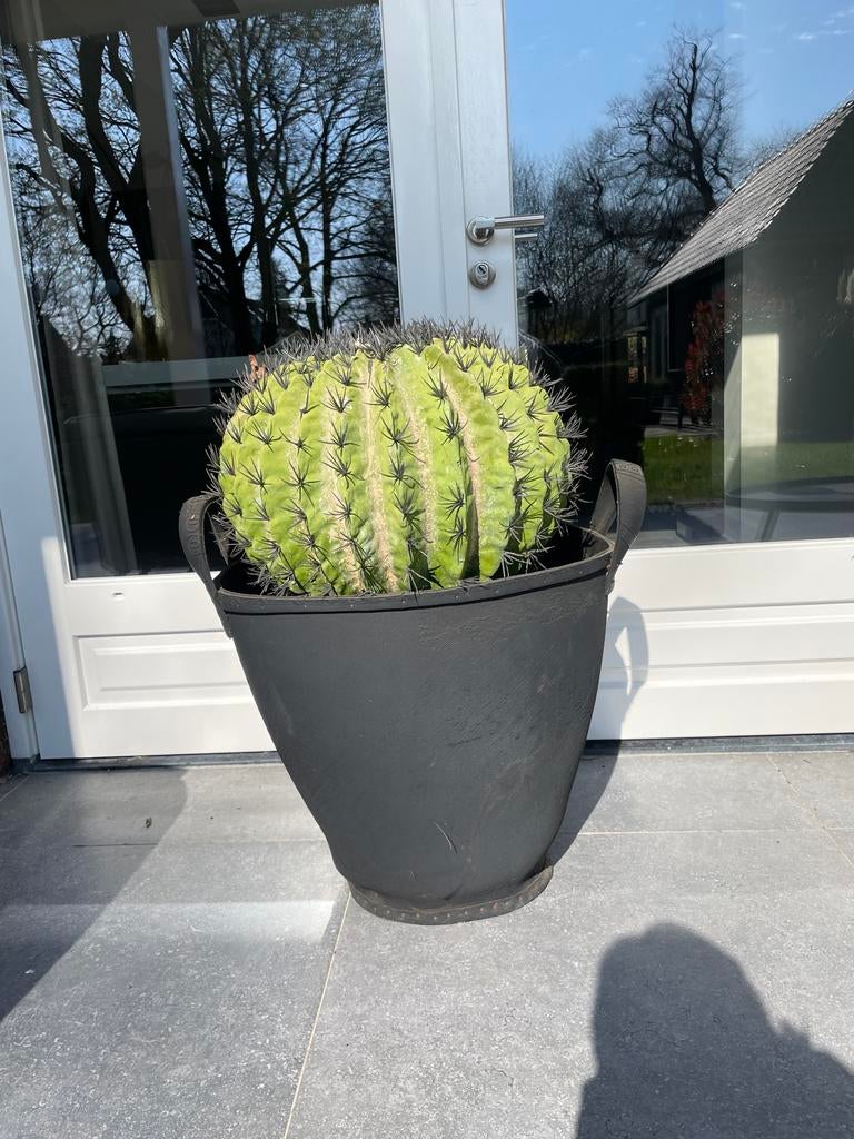 Grote rubberen mand ,komt van loods 5, Tuin en Terras, Bloempotten, Overige materialen, Gebruikt, 40 cm of meer, Binnen